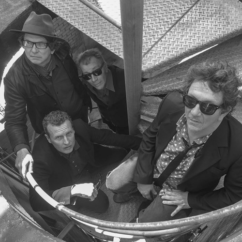 The Gadflys